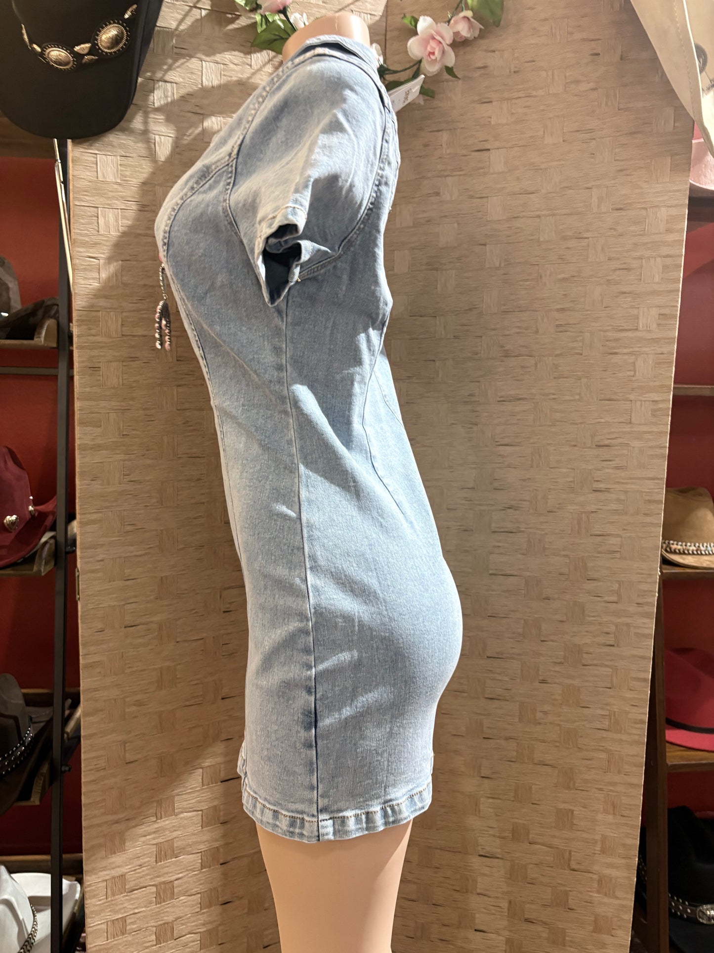 Lucky and blessed Jean Dress